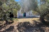 Appartamento, CASTELVETRANO, 119.000 €, 90,00 mq