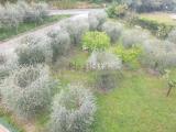 Appartamento, FOLIGNANO, 140.000 €, 80,00 mq