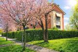 Appartamento, MODENA, 188.000 €, 87,00 mq