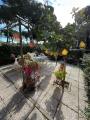 Appartamento, GROSSETO, 223.000 €, 82,00 mq
