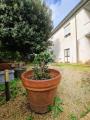 Casa, FAUGLIA, 250.000 €, 300,00 mq