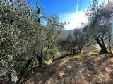 Casa, TAGGIA, 30.000 €, 30,00 mq