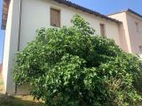 Superfici commerciali, L