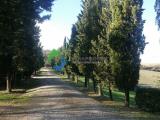 Appartamento, MONTERONI D