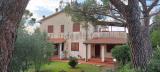 Appartamento, MAGLIANO IN TOSCANA, 270.000 €, 140,00 mq