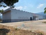 Superfici commerciali, SESSA AURUNCA, 1.300.000 €, 2225,00 mq