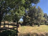 Appartamento, GROSSETO, 320.000 €, 280,00 mq