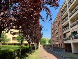Appartamento, BOLOGNA, 340.000 €, 95,00 mq