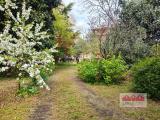 Casa, VICENZA, 530.000 €, 480,00 mq