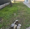 Appartamento, RIMINI, Torre Pedrera, 315.000 €, 135,00 mq