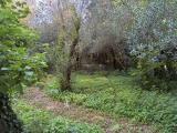 Casa, BUTI, 30.000 €, 30,00 mq