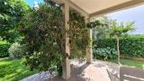 Casa, FUCECCHIO, 390.000 €, 295,00 mq