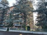 Appartamento, CORREGGIO, 135.000 €, 119,00 mq