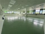 Superfici commerciali, SAN CASCIANO IN VAL DI PESA, 160.000 €, 222,00 mq