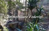 Casa, CAMAIORE, 395.000 €, 180,00 mq