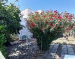 Casa, CERVETERI, 265.000 €, 157,00 mq
