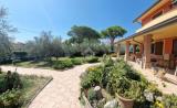 Casa, BELLARIA-IGEA MARINA, 800.000 €, 300,00 mq