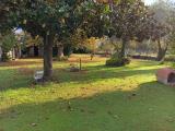 Casa, MASSA, 580.000 €, 180,00 mq