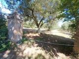 Particella, CASTEL SANT