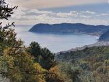 Particella, ALASSIO, 245.000 €, 2000,00 mq