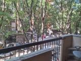 Affitto, Appartamento, MILANO, 2.300 €, 120,00 mq