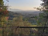 Particella, MONSUMMANO TERME, 58.000 €, 54,00 mq