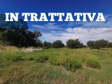 Particella, CERVETERI, 65.000 €, 30075,00 mq