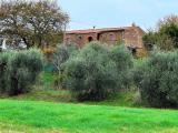 Casa, SUVERETO, 700.000 €, 460,00 mq