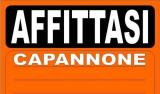 Affitto, Superfici commerciali, REGGIO NELL