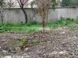 Appartamento, ORISTANO, 99.000 €, 96,00 mq