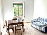 Affitto, Appartamento, LATINA, 600 €, 60,00 mq