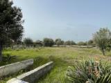 Particella, SIRACUSA, 75.000 €, 1690,00 mq