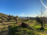 Particella, POLPENAZZE DEL GARDA, 388.300 €, 17500,00 mq