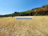 Particella, POLPENAZZE DEL GARDA, 200.000 €, 13000,00 mq