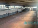 Superfici commerciali, SAN GIULIANO MILANESE, 560.000 €, 767,00 mq