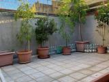 Casa, LIVORNO, 190.000 €, 110,00 mq