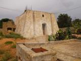 Particella, SALVE, 159.000 €, 11000,00 mq