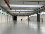 Affitto, Superfici commerciali, PADOVA, 30.000 €, 6300,00 mq