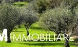 Particella, SAN GIULIANO TERME, 21.000 €, 7000,00 mq