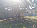 Particella, AGGIUS, 50.000 €, 1899,00 mq
