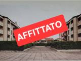 Affitto, Appartamento, SEGRATE, 950 €, 55,00 mq