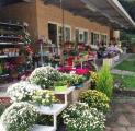 Superfici commerciali, NARNI, 100.000 €, 120,00 mq