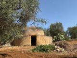 Particella, OSTUNI, 85.000 €, 26463,00 mq