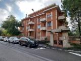 Affitto, Superfici commerciali, BRUGHERIO, 550 €, 38,00 mq