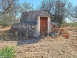 Particella, MONTERONI DI LECCE, 33.000 €, 8038,00 mq