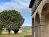 Casa, CAPALBIO, 1.180.000 €, 281,00 mq