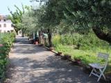 Casa, CAPANNORI, 300.000 €, 272,00 mq