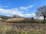 Particella, BOLSENA, 119.000 €, 5000,00 mq