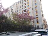 Affitto, Appartamento, MILANO, 1.000 €, 60,00 mq