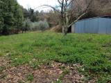 Particella, MONTESCUDAIO, 110.000 €, 224,00 mq